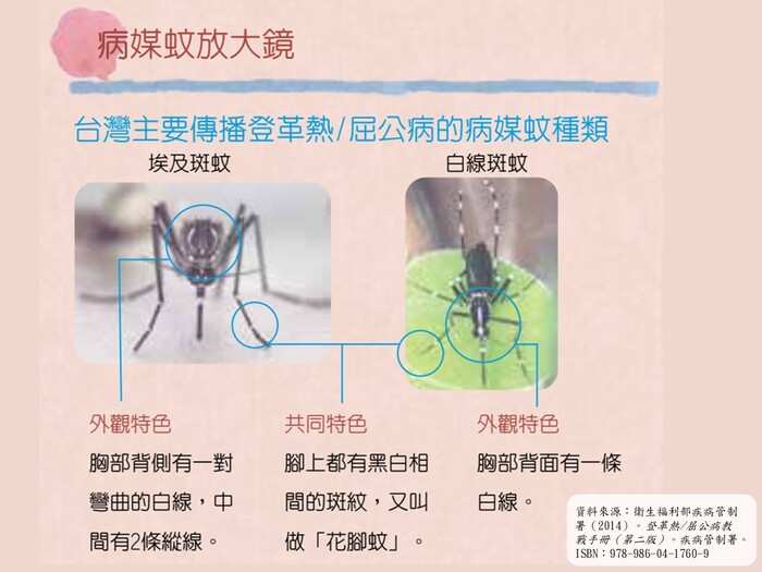 🌿關心您健康──屈公病防治提醒🌿圖片